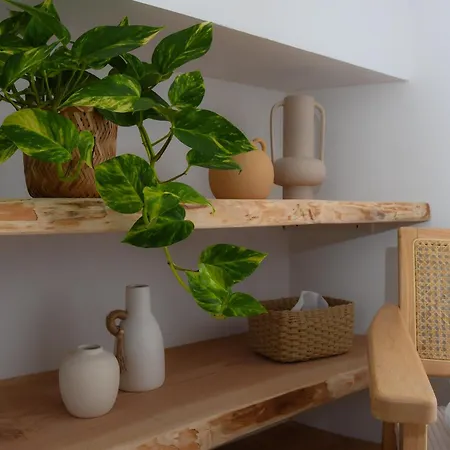 Maison De Cosy Avec Ambiance Jungle & Boheme